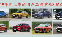 国产精品2019,匠心独运，品质卓越的年度盘点